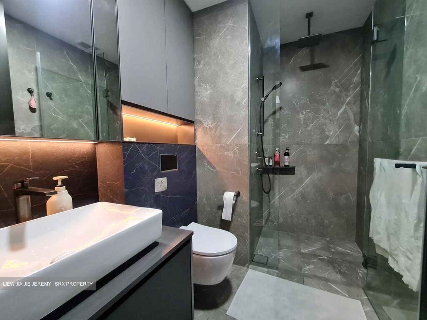 Irwell Hill Residences (D9), Apartment #460285431